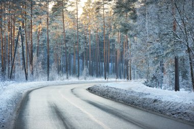 Gün batımında çam ağacı ormanının içinden geçen, karla kaplı boş bir asfalt yol. Ağaçların arasından gün ışığı. Kış yolculuğu. Letonya