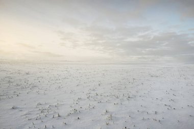 Gün batımında kar fırtınasından sonra karla kaplı arazinin panoramik görüntüsü. Taze karda insan izleri. Buz çölü. Dramatik bulut manzarası. Küresel ısınma teması. Laponya, Finlandiya