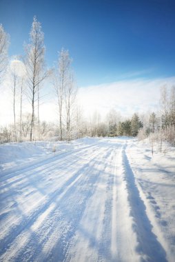 Güneşli bir günde kırsal alanda karla kaplı tek şeritli yol. Finlandiya. Açık mavi gökyüzü. Yaprak döken ve yemyeşil ağaçlar arka planda kırağı kaplamış. Idyllic kış manzarası