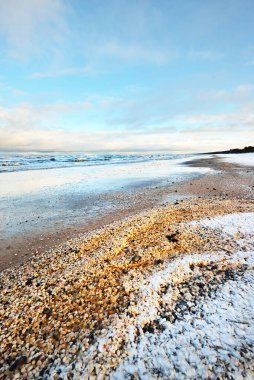 Bir sürü deniz kabuğuyla kaplı Baltık deniz kıyısından bir manzara. Riga Körfezi, Letonya. Renkli dramatik bulut manzarası. Kararsız hava, dalgalar, su sıçramaları. Kış turizmi, küresel ısınma