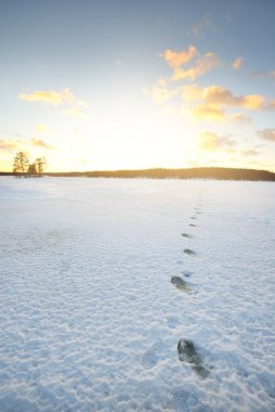 Gün batımında donmuş göl ve çam ormanı. Buz dokusu. Dramatik gökyüzü, altın bulutlar. Kış Harikalar Diyarı. Doğa, ekoloji, iklim değişikliği, eko-turizm, Noel. Taze karda insan izleri.