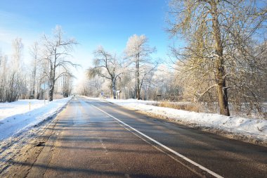Temizlikten sonra boş bir asfalt yol. Taze karda araba izleri. Arka planda karla kaplı huş ağacı ormanı var. Açık mavi gökyüzü. Finlandiya 'da kış gezisi. Genel ısınma teması