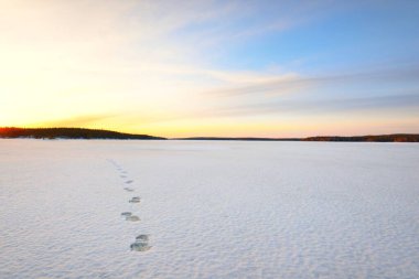 Gün batımında donmuş göl ve çam ormanı. Buz dokusu. Dramatik gökyüzü, altın bulutlar. Kış Harikalar Diyarı. Doğa, ekoloji, iklim değişikliği, eko-turizm, Noel. Taze karda insan izleri.