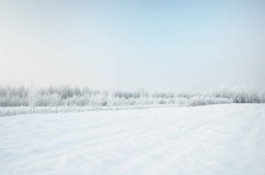 Açık bir günde karla kaplı ormanın (eski şehir parkı) resimli panoramik manzarası. Ağaç donundaki ağaçlar yakın plan. Kış Harikalar Diyarı. Mevsimler, iklim değişikliği, saf doğa, ekoloji, çevre