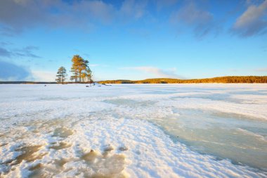 Gün batımında donmuş göl ve karla kaplı çam ormanı. Buz dokusu. Dramatik gökyüzü, yumuşak güneş ışığı. Idyllic kış sahnesi. Doğa, çevre koruma, ekoloji, iklim değişikliği, eko-turizm, Noel