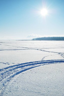 Gün doğumunda donmuş orman gölü, donmakta olan ağaçlar. Taze karda bisiklet, kayak ve insan izleri. Idyllic kırsal kesim. Mavi gökyüzü, öğlen güneşi. Doğa, ekoloji, küresel ısınma, Noel temaları