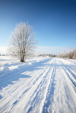 Güneşli bir günde kırsal alanda karla kaplı tek şeritli yol. Finlandiya. Açık mavi gökyüzü. Yaprak döken ve yemyeşil ağaçlar arka planda kırağı kaplamış. Idyllic kış manzarası