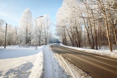 Temizlikten sonra boş bir asfalt yol. Sokak fenerleri yakın plan. Taze karda araba izleri. Arka planda karla kaplı huş ağacı ormanı var. Açık mavi gökyüzü. Finlandiya 'da kış gezisi. Genel ısınma teması