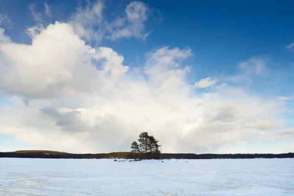 Frossen Innsjø Furuskog Ved Solnedgang Isstruktur Dramatisk Stormblå Himmel Episk – stockfoto