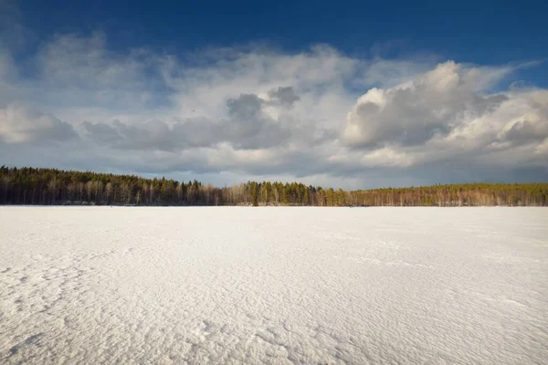 日落时分 冰封的湖泊和松树林 冰的质感戏剧化的暴风雨般的蓝天 史诗般的云雾 冬天的仙境自然 气候变化 生态旅游 变化无常的天气 — 图库照片