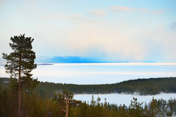 Kola半島のKandalaksha湾 山や森の海岸のパノラマの空中ビュー ロシア 冬の風景 壮大な夕日の空 気候変動 — ストック写真