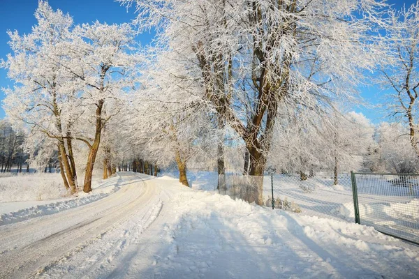 Schneebedeckte Landstraße Durch Das Dorf Auto Und Menschliche Spuren Aus — Stockfoto