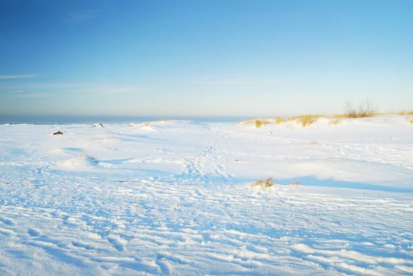 Mar Báltico Congelado Dia Claro Textura Neve Trilhas Humanas Close — Fotografia de Stock