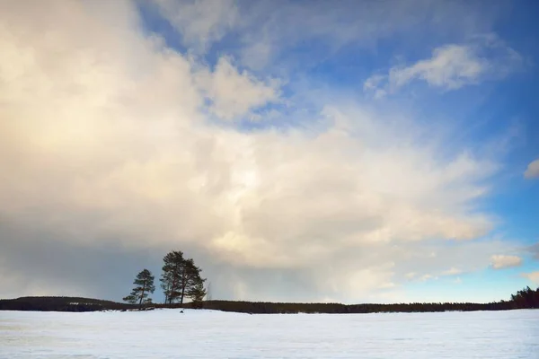 日没の凍った湖と松林 氷の質感 劇的な嵐の青い空 壮大な雲の風景 冬の不思議の国 生態系 気候変動 悪天候 — ストック写真
