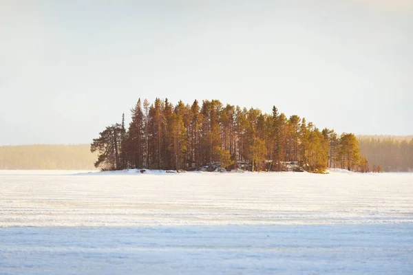 Frozen lake and snow-covered pine forest at sunset. Ice texture. Dramatic sky, soft sunlight. Idyllic winter scene. Nature, environmental conservation, ecology, climate change, ecotourism, Christmas