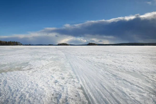 Fryst Sjö Och Tallskog Vid Solnedgången Isstruktur Traktor Spår Närbild — Stockfoto