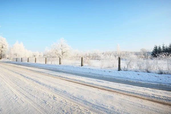 雪の村を介してカントリーロード覆われた 暖かい日差しの中で背の高い木 晴れた冬の日 ラトビア — ストック写真