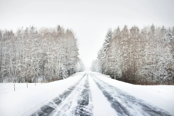 Snow-covered highway (asphalt road) through the coniferous forest after a blizzard. Lapland, Finland. Dangerous driving, climate change, global warming, ecology, environmental conservation
