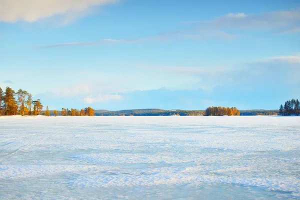 Παγωμένη Λίμνη Και Χιονισμένο Πευκοδάσος Ηλιοβασίλεμα Παγωμένη Υφή Δραματικός Ουρανός — Φωτογραφία Αρχείου