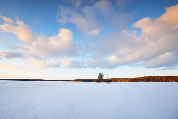 Lago Congelado Pinhal Coberto Neve Pôr Sol Textura Gelo Céu — Fotografia de Stock