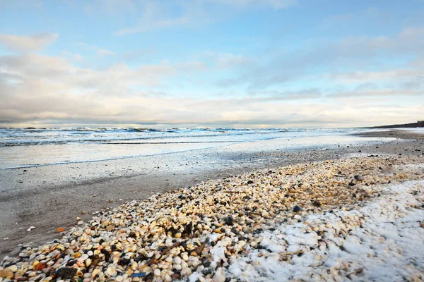 Вид Заснеженного Побережья Балтийского Моря Множеством Ракушек Рижский Залив Латвия — стоковое фото