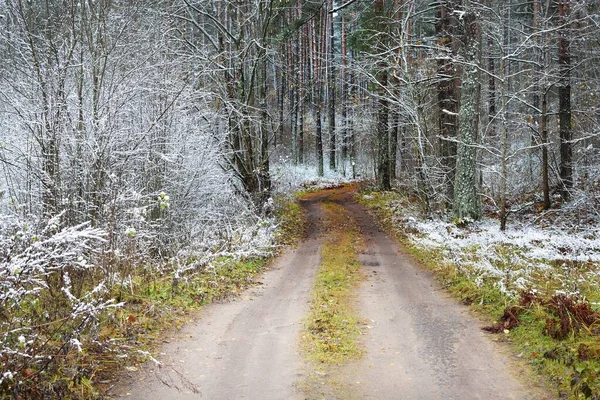 単車線Sは 結晶白い霜の落葉樹を通って田舎道を形成します カラフルな黄金の葉と地面に新鮮な雪 ラトビアの初冬 牧歌的な風景 — ストック写真