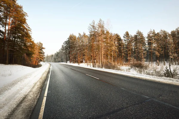 Una Carretera Asfaltada Vacía Limpia Través Del Bosque Coníferas Atardecer — Foto de Stock