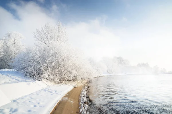 Met Sneeuw Bedekte Bomen Een Stadspark Uitzicht Dijk Rivier Kerstvakantie — Stockfoto
