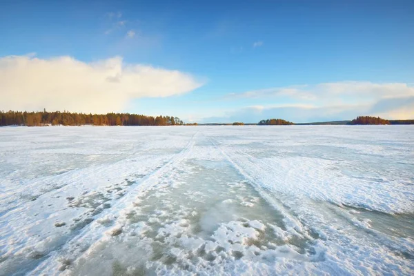 Bevroren Meer Besneeuwd Dennenbos Bij Zonsondergang Ijs Textuur Dramatische Hemel — Stockfoto