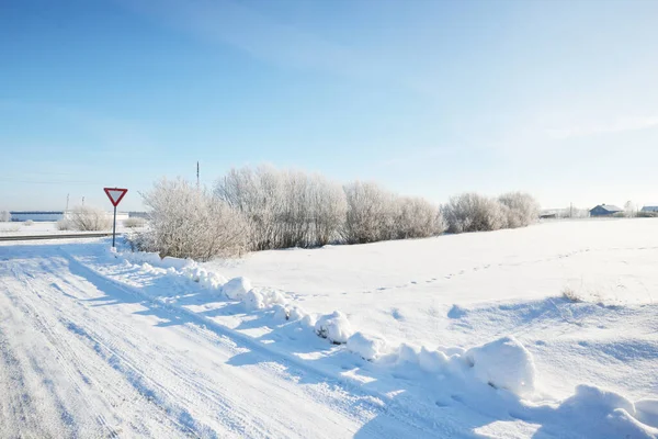 Berk Andere Loofbomen Besneeuwde Heuvel Een Sneeuwstorm Uitzicht Vanaf Landelijke — Stockfoto