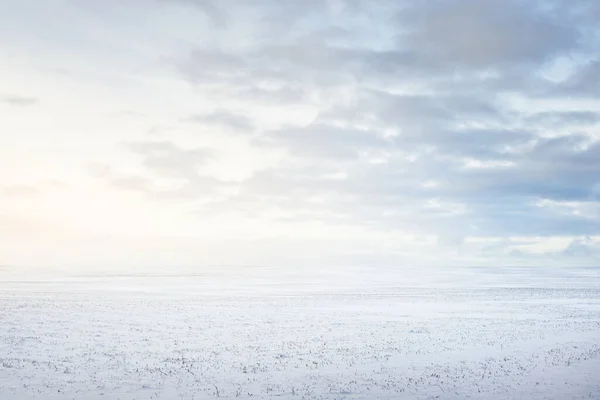 夕暮れ時の吹雪の後の雪に覆われたフィールドのパノラマビュー 新鮮な雪の中で人間のトラック 氷の砂漠 劇的な雲景 地球温暖化をテーマに フィンランドのラップランド — ストック写真