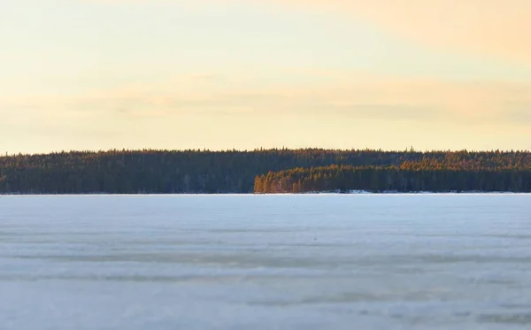 落日的时候 冰封的湖泊和白雪覆盖的松树林 冰的质感戏剧化的天空 金色的云彩 冬天的仙境自然 环境保护 气候变化 生态旅游 圣诞节 — 图库照片