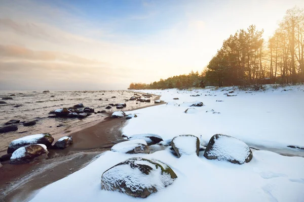 Uma Vista Costa Coberta Neve Mar Báltico Pôr Sol Pedras — Fotografia de Stock