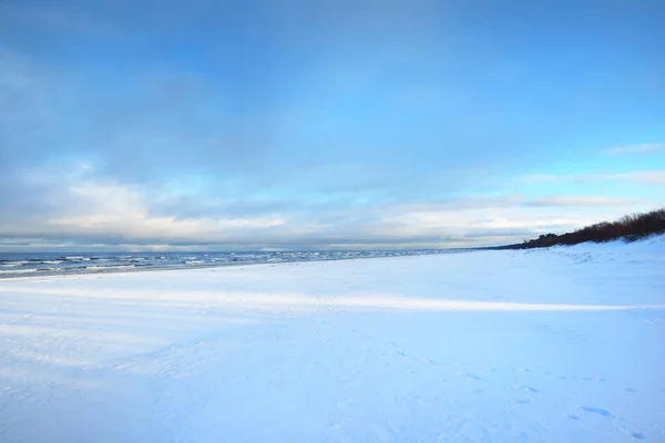 日没の雪に覆われたバルト海沿岸の景色 背景に針葉樹林 見事な雲景だ 妖精の青い夜の光 ラトビア — ストック写真