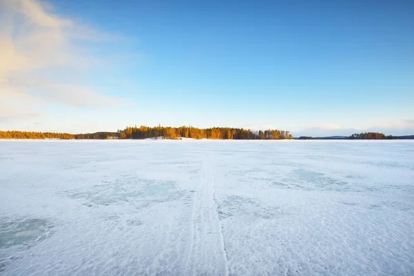 Fryst Sjö Och Snötäckt Tallskog Vid Solnedgången Isstruktur Dramatisk Himmel — Stockfoto