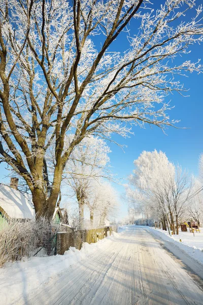 Snow Covered Country Road Village Wooden Traditional Houses Tall Trees — Stock Photo, Image