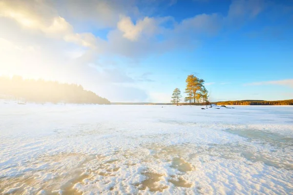 氷結した湖と雪に覆われた日没時の松林 氷の質感 劇的な空 柔らかい日差し 牧歌的な冬のシーン 環境保全 生態系 気候変動 エコツーリズム クリスマス — ストック写真
