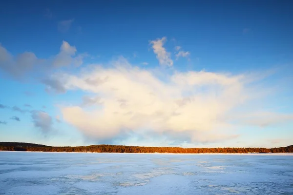 Gün Batımında Donmuş Göl Karla Kaplı Çam Ormanı Buz Dokusu — Stok fotoğraf