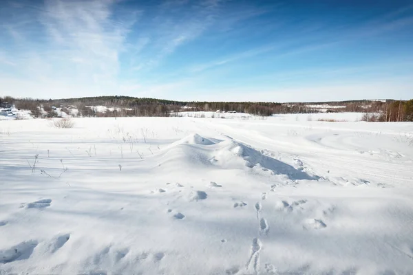 Blick Auf Das Schneebedeckte Land Nach Einem Schneesturm Menschliche Spuren — Stockfoto