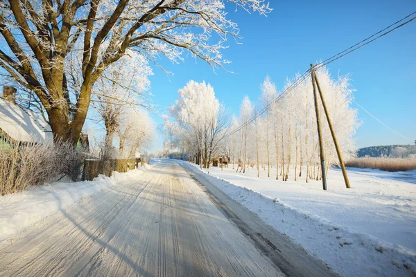 铺满白雪的乡间小路穿过木村的传统房屋 高大的树 温暖的阳光 清澈的冬日拉脱维亚 — 图库照片