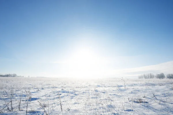 Vista Panorâmica Campo Coberto Neve Após Uma Nevasca Arbustos Perto — Fotografia de Stock