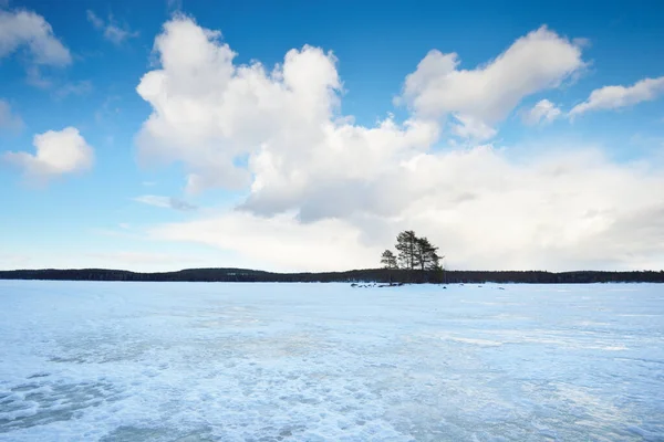 Lago Congelado Bosque Pinos Atardecer Textura Hielo Cielo Azul Tormentoso — Foto de Stock