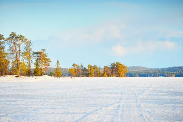 Frozen lake and snow-covered pine forest at sunset. Ice texture. Dramatic sky, soft sunlight. Idyllic winter scene. Nature, environmental conservation, ecology, climate change, ecotourism, Christmas