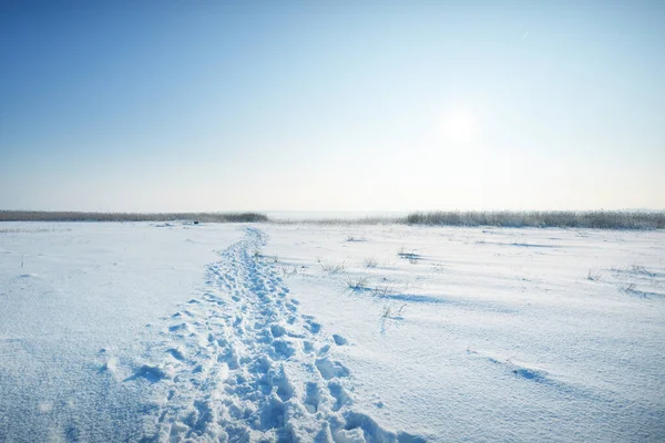 吹雪の後 旧市街公園の牧草地を通って通路 新鮮な雪の中で人間のトラック 真っ青な空 暖かい日差し ラトビア 冬のスポーツ クリスマス休暇 レクリエーションのテーマ — ストック写真