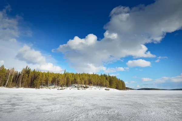 Zmrzlé Jezero Borový Les Při Západu Slunce Ledová Textura Dramatická — Stock fotografie