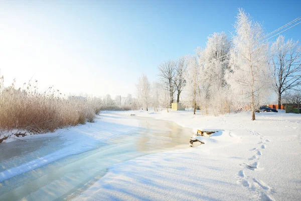 Een Kleine Bevroren Rivier Hoge Berkenbomen Vorst Een Sneeuwstorm Close — Stockfoto