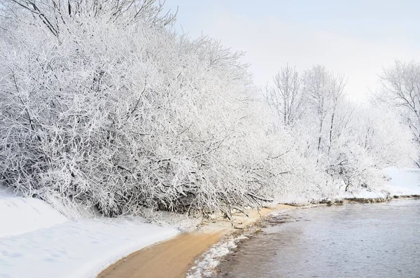 Met Sneeuw Bedekte Bomen Een Stadspark Uitzicht Dijk Rivier Kerstvakantie — Stockfoto