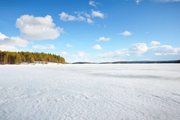 Zamarznięte Jezioro Las Sosnowy Zachodzie Słońca Konsystencja Lodu Ciągnik Śledzi — Zdjęcie stockowe