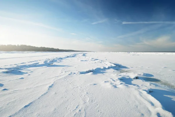 Fryst Östersjökust Klar Dag Snön Struktur Närbild Blå Himmel Pittoreska — Stockfoto