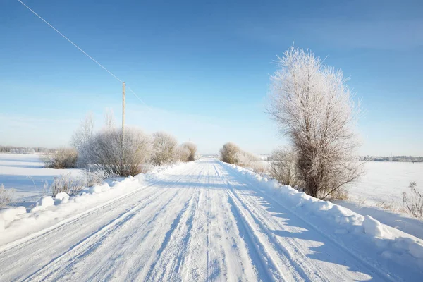 Snow-covered single lane rural road through the fields on a sunny day. Finland. Clear blue sky. Deciduous and evergreen trees in hoarfrost in the background. Idyllic winter landscape